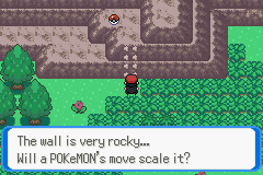 Pokemon Resolute Beta 3.29 Fixed.png