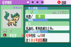5.png