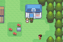 shop.gif