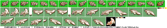 ranger_zigzagoon.gif